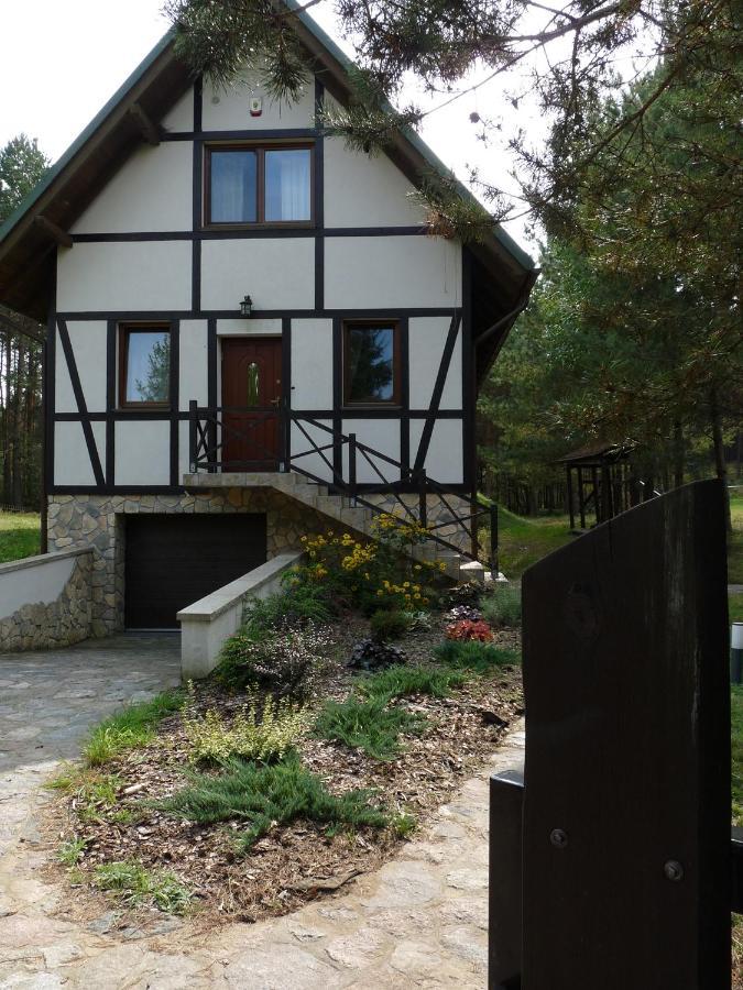 Radunska Ostoja Villa Dziemiany Bagian luar foto
