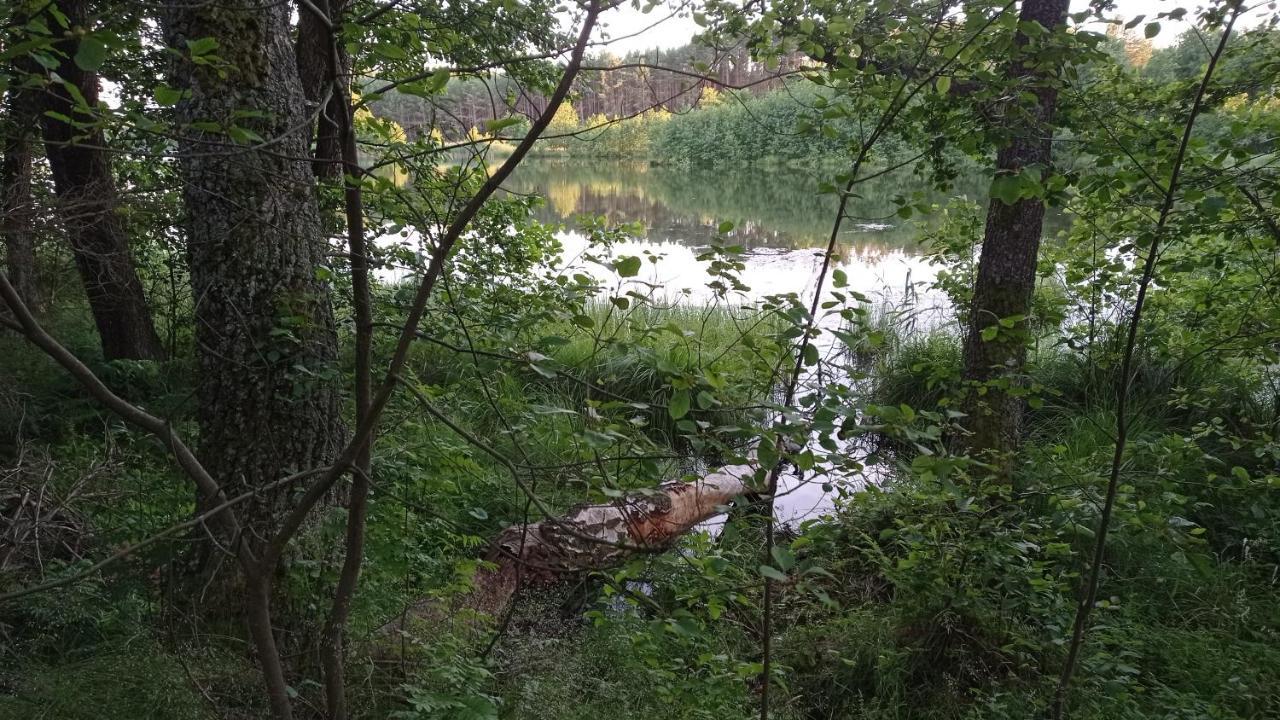 Radunska Ostoja Villa Dziemiany Bagian luar foto