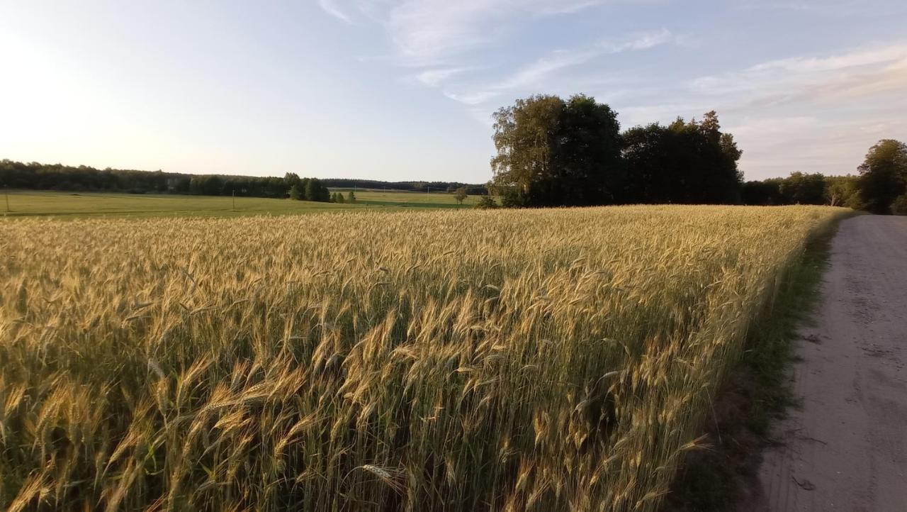 Radunska Ostoja Villa Dziemiany Bagian luar foto